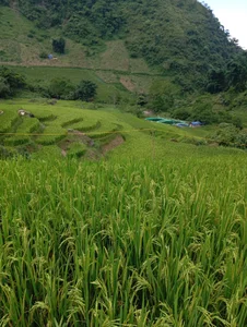 Public od EllyBaby20  5 snímek