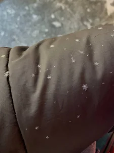 liana_kisses it was an incredible winter day 사진 2