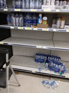 jas319593 Public Pic 3