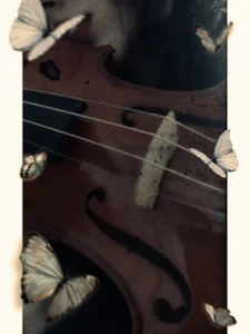 Public de DionisioAndFreya  4 Imagens