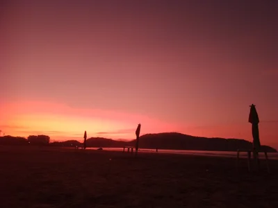 HeterobuscaPublic Bild 6