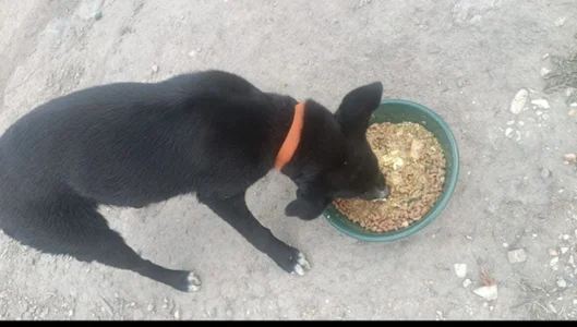 Babba_yagga Actions speak louder than good intentions. Pic