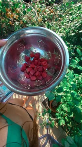 LiliMiel Public Immagine 