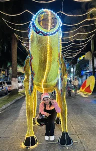 KIMMY_MONTIELL my city in december Pic 4