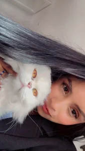 saragrey77 My cats Pic