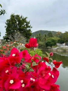 MistyBarnesvacation Bild 4