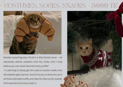 Gifts for Persik! de Mira_Fyre  3 Imagens