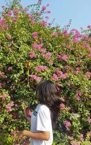 MISS_ANJALIIPublic图片 4