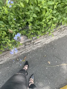 MariathLittle Something about me 🗯️📸 Pic 4