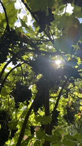 Tania201243 Public Pic