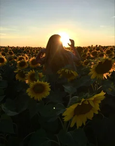 colla_white Public Bilde 4