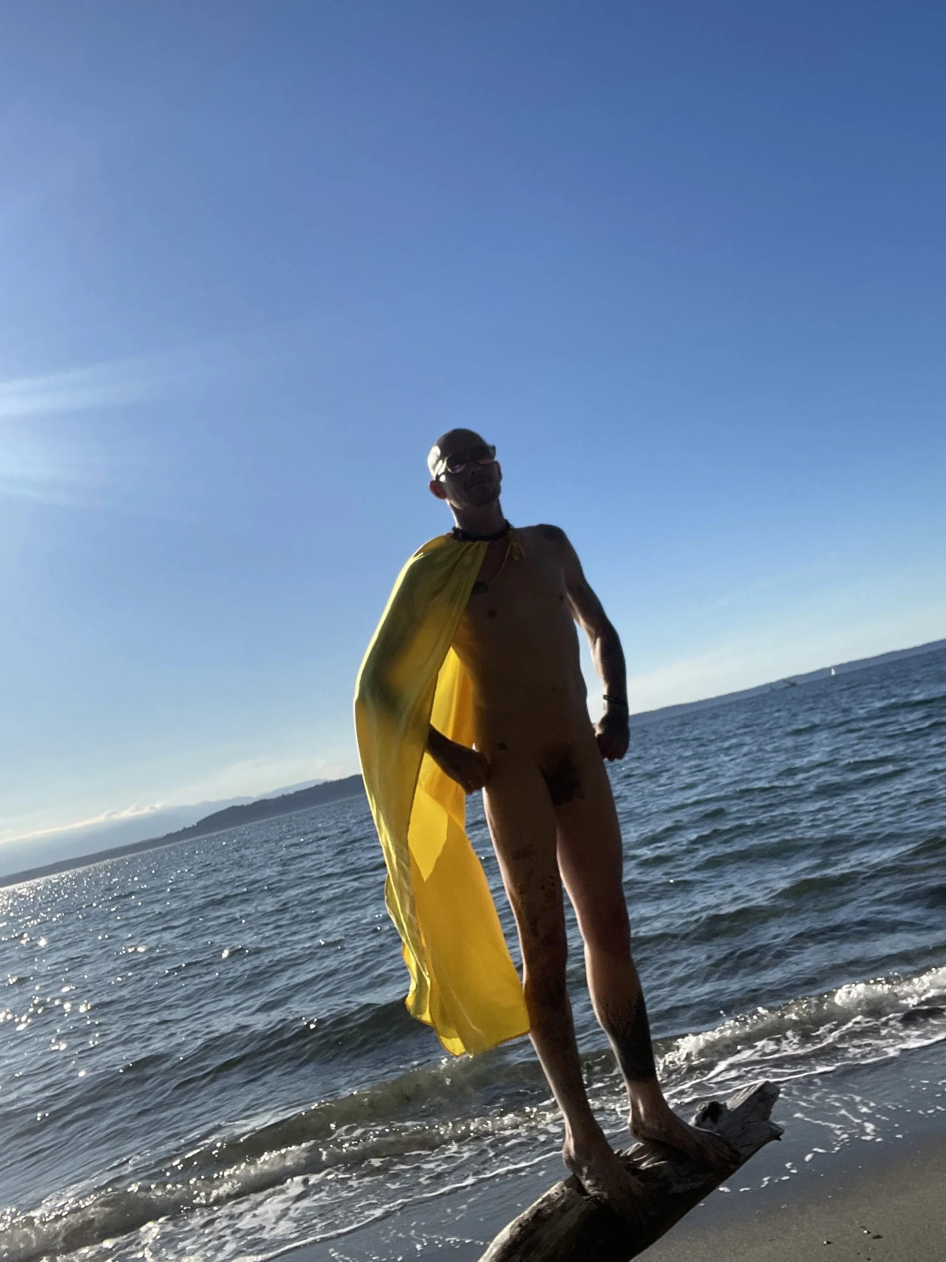 Holden-Cock Public Bilde 2