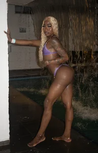 Sheinny_brown1 BATHING SUIT Fotka 4