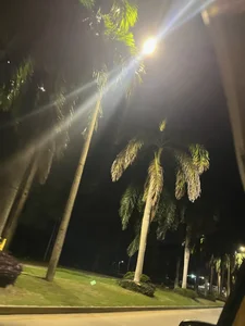 Sam_Sara Caribbean at Christmas 💚🥥 Pic 8