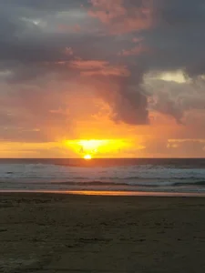 Flowers de faithfulchic  4 photos