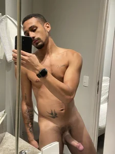 willlins Public Hình 4