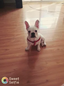 RedAssHottie kullanıcısının Public albümü -  6 fotoğraf