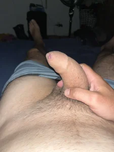 Hfexpress Public slika