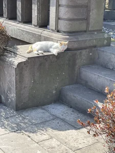 Riria_xx kullanıcısının Public albümü -  5 fotoğraf