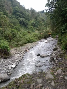 bella930303 HOLA HOLA HOLA HOLAAAAA Foto 3