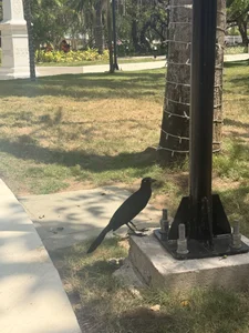 Sophia_wilsonn_のThis is also Colombiaの 4枚の写真