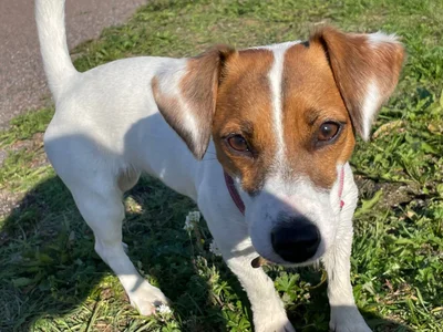 Airyhill My sweet soul slika 6