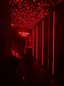 Public de PrincesLeo  3 Imagens