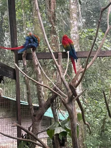 sharon_pretty12 amazonas  7টি ছবি