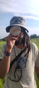 🤡 de Pziko  5 photos