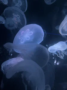 もっとゆの de yuno_dayo  3 Imagens