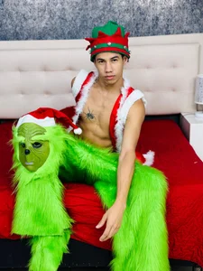 Erick_Zhimerman Christmas in Green 사진 3
