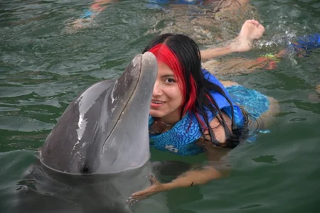 CUTE 🐬 de letty_straus  6 photos