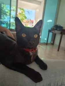 chunn_liioo My facts🤩😸 Pic 2