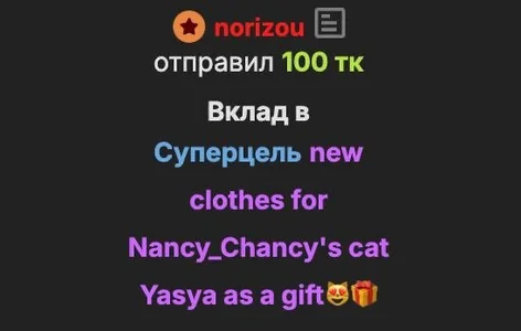 elsawhere 🤍THANK YOU🤍 epic goal: new clothes for Nancy_Chancy's cat Yasya as a gift😻🎁 Foto 4