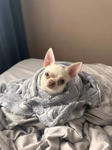 Zdjęcia LaveraMeling Life in everyday life:  5