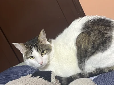 Food, travel, and unique moments od Alaia_Blosson  8 snímek