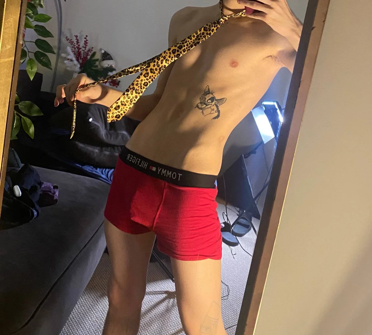 Трендове зображення  4343 Tommy_Stars