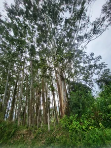 Zarita_2310 Vibes✨️ Foto 2