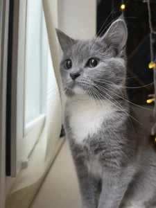 Public od ShadowEve  7 snímek