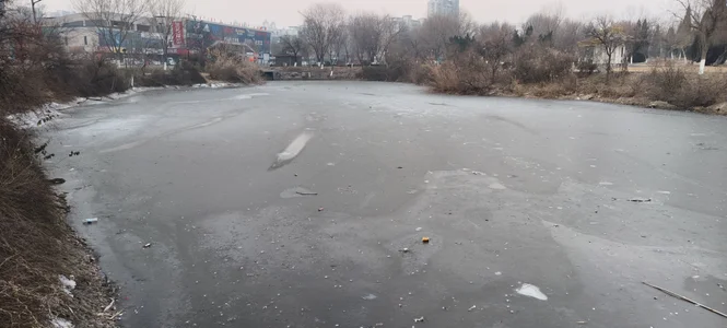 真鸡儿冷了 od huzi518  2 snímek