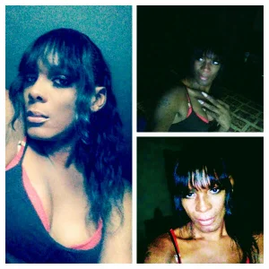 Public de Kimmikum Foto 5