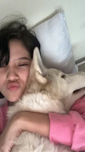 Zdjęcia House_fox Loren:  2