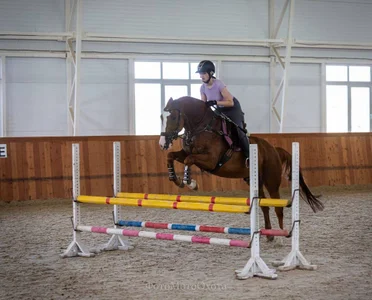 DarlineBrustera Public Foto 3