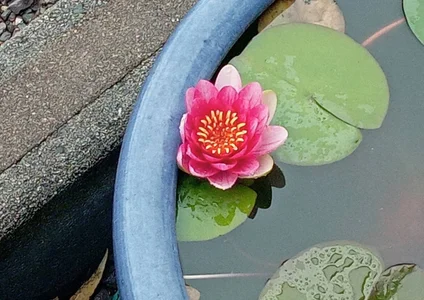 karin0720のPublicの 3枚の写真