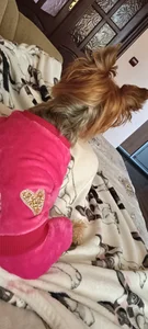 Public od MissLunariaa  snímek