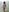 Samira-Summer's photo
