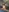 pulpeuse64's photo