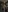 melshiza's photo