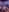 BigdickRick8UncuT's photo