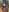 4shk4sh's photo